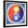 Yin Yang-Simon Cook-Framed Giclee Print