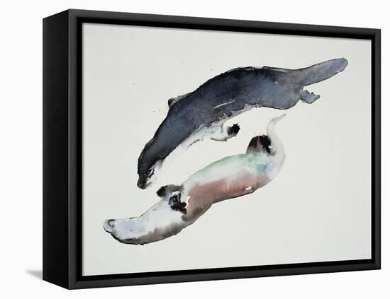 Yin Yang-Mark Adlington-Framed Stretched Canvas