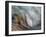 Ying and Yang-Ursula Abresch-Framed Photographic Print