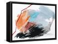 Framed Canvas