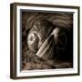 Ying-Yang-Lydia Marano-Framed Photographic Print