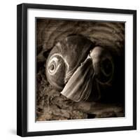 Ying-Yang-Lydia Marano-Framed Photographic Print