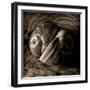 Ying-Yang-Lydia Marano-Framed Photographic Print