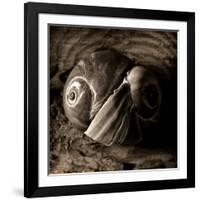 Ying-Yang-Lydia Marano-Framed Photographic Print