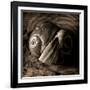 Ying-Yang-Lydia Marano-Framed Photographic Print