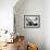 Ying-Yang-Stuart Murchison-Framed Photographic Print displayed on a wall