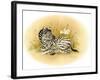 Yipes Stripes-Peggy Harris-Framed Giclee Print