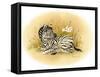 Yipes Stripes-Peggy Harris-Framed Stretched Canvas