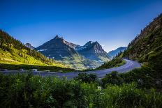 Bighorn sheep, Glacier National Park, Montana, USA-Yitzi Kessock-Photographic Print