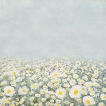 Infinity Field-Ylva Solberg-Art Print