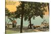 YMCA Boat Landing, Lake Geneva, Wisconsin-null-Stretched Canvas
