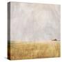 Stretched Canvas