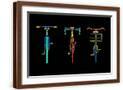 Brown Frame