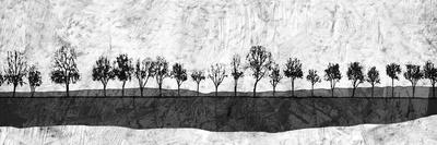 Dark Ink Trees-Ynon Mabat-Art Print