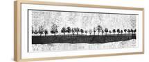 Brown Frame