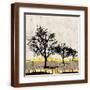 Brown Frame