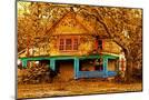 Wood Mount