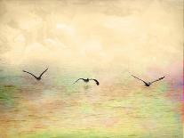 Seagulls in the Sky I-Ynon Mabat-Art Print