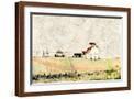 Brown Frame