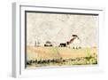 White Frame