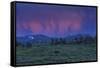 YNP Sunset-Galloimages Online-Framed Stretched Canvas