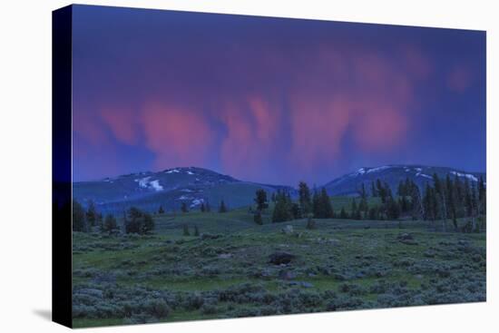 YNP Sunset-Galloimages Online-Stretched Canvas