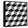 Canvas Black