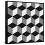 Canvas Black