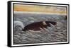 Yoda Emon a Fisherman is Saved from the Sea by a Whale in Thanks for-R. Gordon Smith-Framed Stretched Canvas