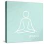 Yoga 1-Kimberly Allen-Stretched Canvas