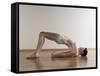 Yoga, Artwork-SCIEPRO-Framed Stretched Canvas