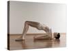 Yoga, Artwork-SCIEPRO-Stretched Canvas