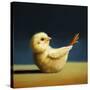 Yoga Chick Boat Pose-Lucia Heffernan-Stretched Canvas