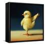 Yoga Chick Dancer II-Lucia Heffernan-Framed Stretched Canvas