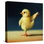 Yoga Chick Dancer II-Lucia Heffernan-Stretched Canvas