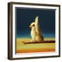 Yoga Chick Monkey Pose-Lucia Heffernan-Framed Art Print