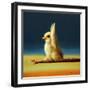 Yoga Chick Monkey Pose-Lucia Heffernan-Framed Art Print