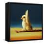 Yoga Chick Monkey Pose-Lucia Heffernan-Framed Stretched Canvas