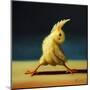 Yoga Chick Reverse Warrior-Lucia Heffernan-Mounted Art Print