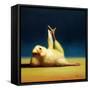 Yoga Chick Side Leg Lift-Lucia Heffernan-Framed Stretched Canvas