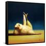 Yoga Chick Side Leg Lift-Lucia Heffernan-Framed Stretched Canvas