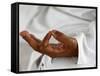 Yoga Class at Patanjali Yog Vidyapith, Haridwar, India, Asia-null-Framed Stretched Canvas