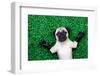 Yoga Dog-Javier Brosch-Framed Photographic Print