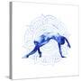 Yoga Flow V-Grace Popp-Stretched Canvas