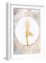 Yoga Gold 5-Sarah Manovski-Framed Giclee Print