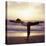 Yoga Pose-Tony McConnell-Stretched Canvas