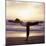 Yoga Pose-Tony McConnell-Mounted Premium Photographic Print