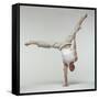 Yoga Pose-Tony McConnell-Framed Stretched Canvas