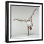 Yoga Pose-Tony McConnell-Framed Premium Photographic Print