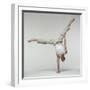 Yoga Pose-Tony McConnell-Framed Premium Photographic Print